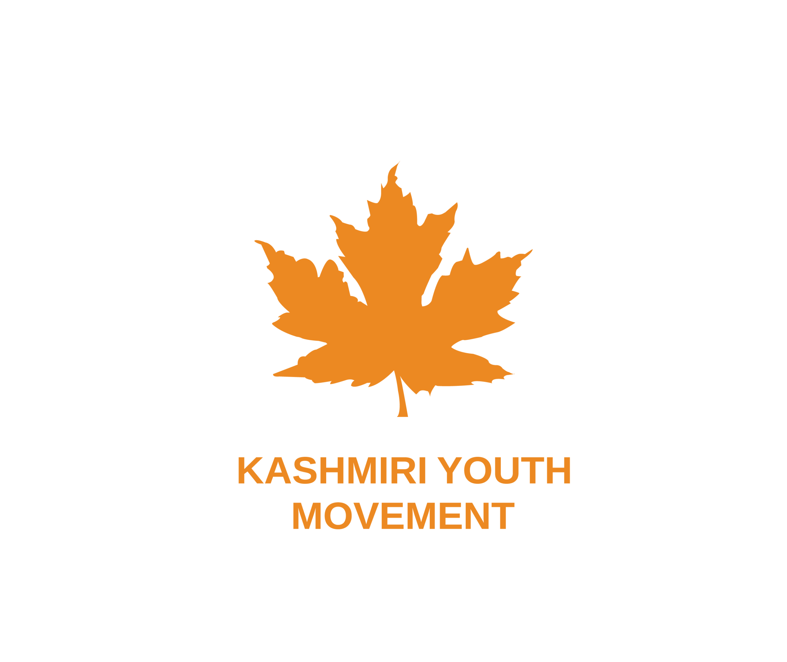 kashmiri youth movement